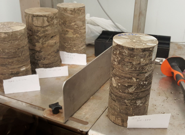 Close-up of soil core samples from a geotechnical survey in Malaysia by Altus Oil & Gas, displayed in a lab setting.